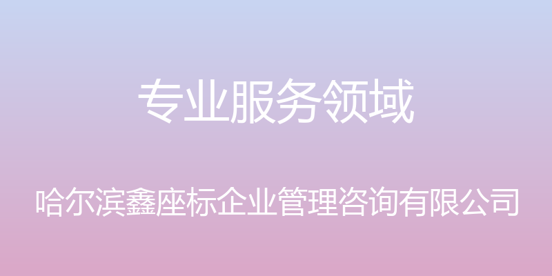 专业服务领域 - 哈尔滨鑫座标企业管理咨询有限公司