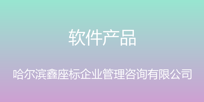 软件产品 - 哈尔滨鑫座标企业管理咨询有限公司