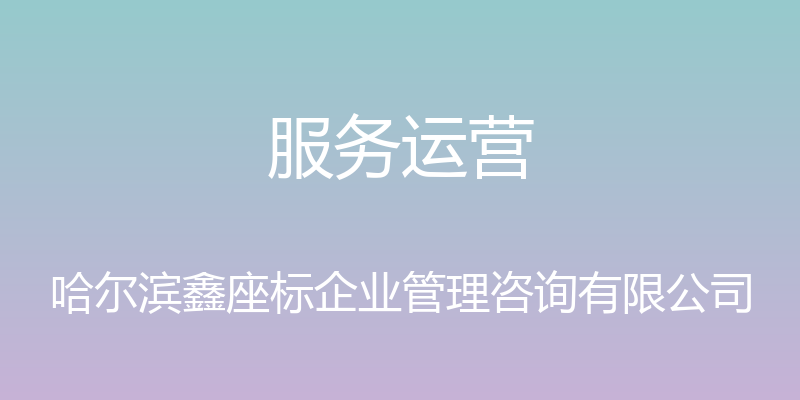 服务运营 - 哈尔滨鑫座标企业管理咨询有限公司