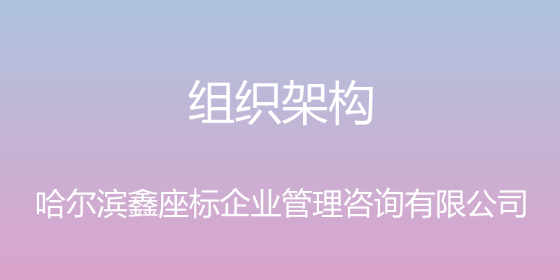 组织架构 - 哈尔滨鑫座标企业管理咨询有限公司